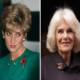 Breaking News;Queen Camilla Under Fire for Removing Princess