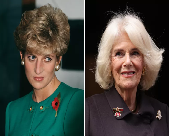 Breaking News;Queen Camilla Under Fire for Removing Princess