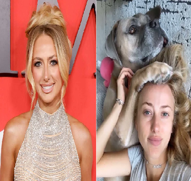 Check out the dogs sweet Reaction to Brittany