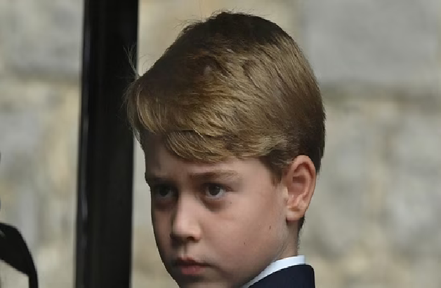 Prince George is aware of the royal